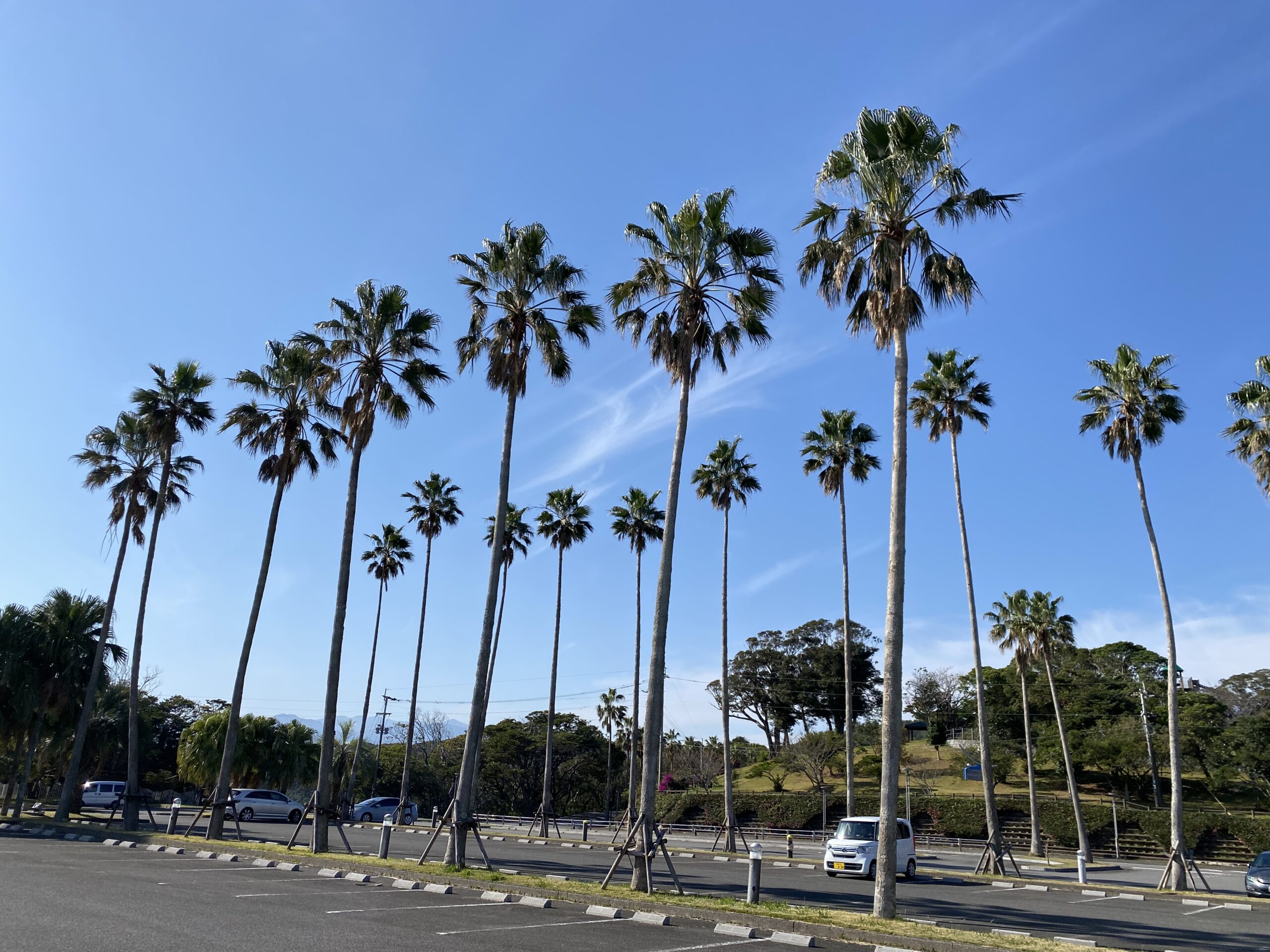 〆の旅・2日目　カンビン復活じゃい！！