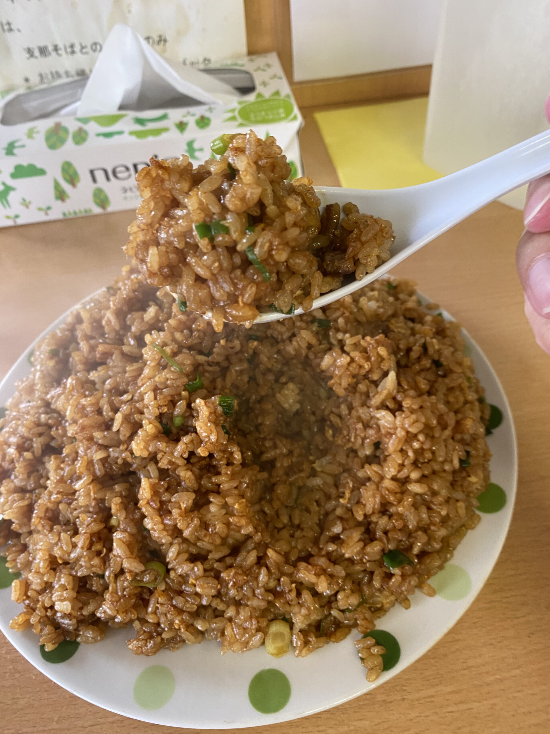 オモウマい旅・３日目　たかはしの半半チャーハンは完食出来るのか！