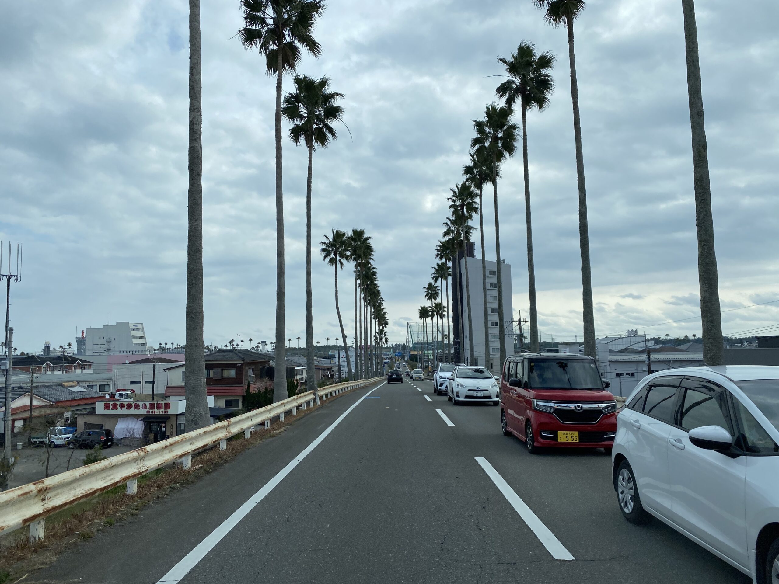 宮崎のヤシの木はハワイよりも多いのか？