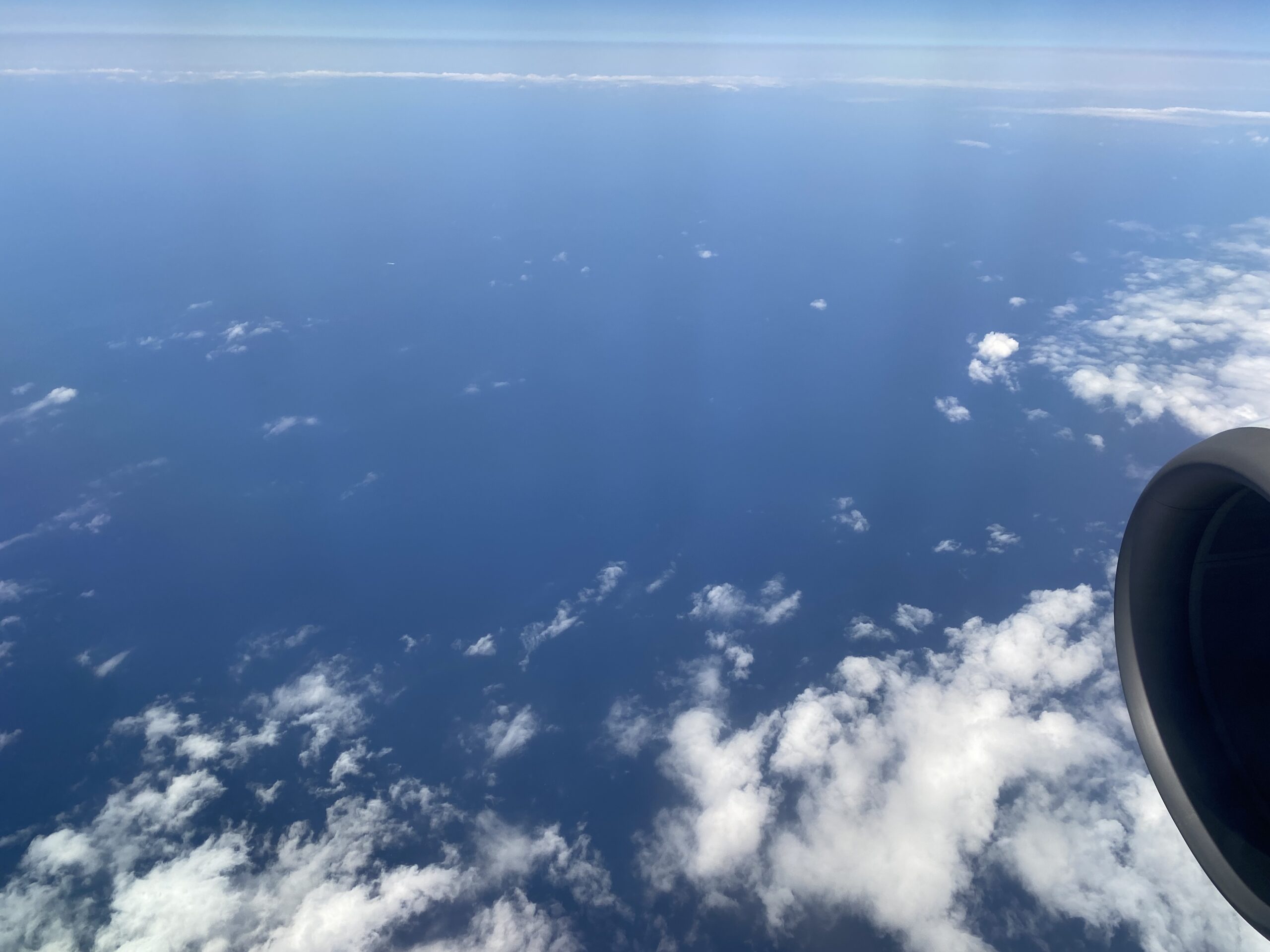 春の旅に出発します