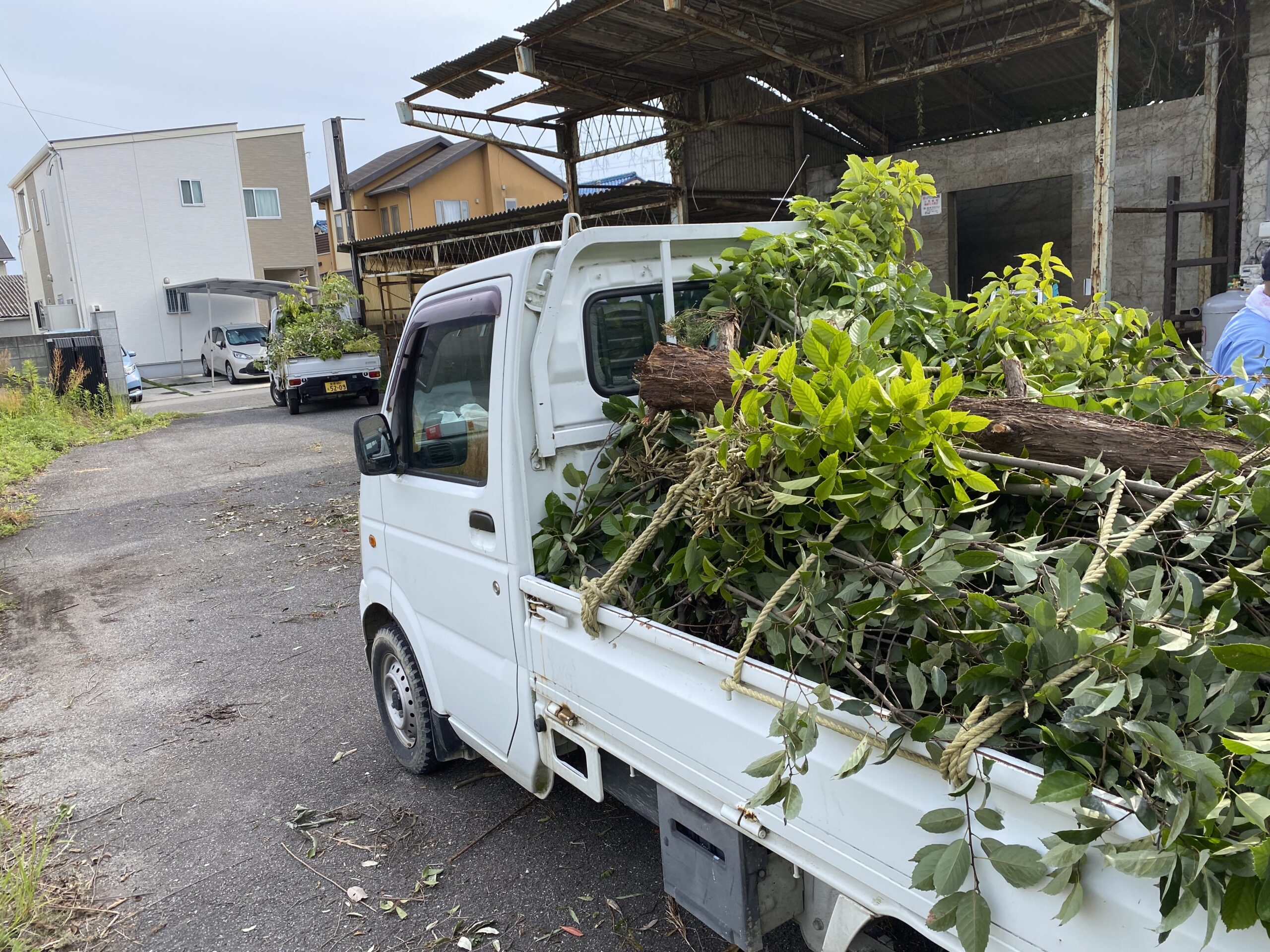 青の風をあきらめて・・・